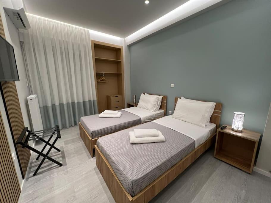 Luxury Near Acropolis Apartment Athens